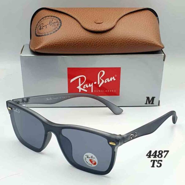 Classic Wayfarer Full Grey Sunglasses-4487TS